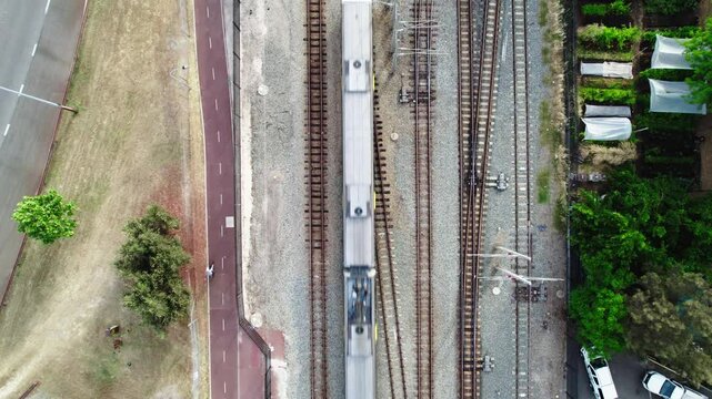 Two trains move along parallel tracks beside a road lined with trees and buildings in bright daylight.