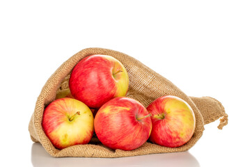 Several red apples in a jute bag, macro, isolated on white background.