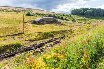 Fototapete bei efototapeten.de bestellen   