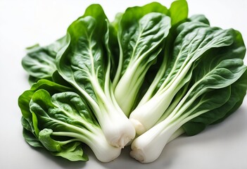 fresh green cabbage