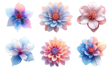 Watercolor flowers in various colors isolated on transparent background