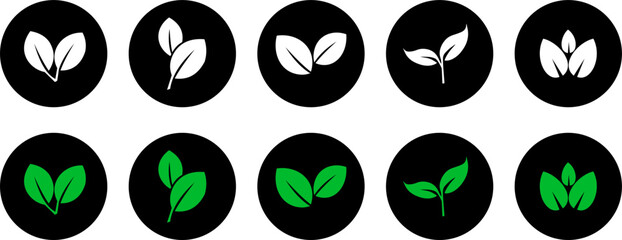 Leaf vector icons. Eco leaf logo. Simple linear leaves of trees and plants. Elements for eco friendly and bio logo, vegan. White & Green leaves collection on black background. Ecology leaf element.