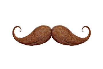 Detailed illustration of a brown handlebar mustache isolated on white transparent background