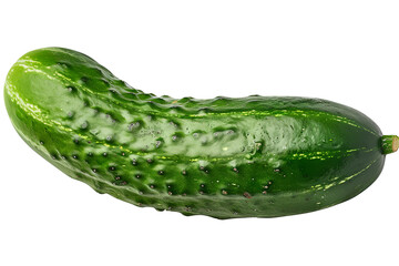 A single, green cucumber isolated on a black background. It has a bumpy skin with light green stripes running along it on white transparent background