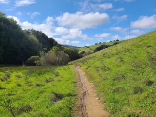 Hiking along the Shady Creek trail after winter rains in Pleasanton Ridge Park, East Bay hills in...