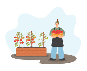 Autumn farm work people. Woman with a basket full of tomatoes near a tomato bed. Autumn farm life flat vector illustration