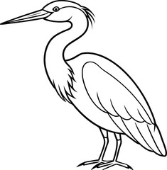 Aghinga Bird Vector Design, for various way. 