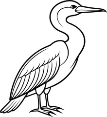 Aghinga Bird Vector Design, for various way. 