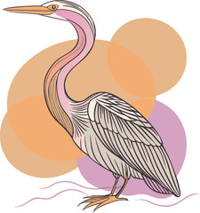 Aghinga Bird Vector Design, for various way. 