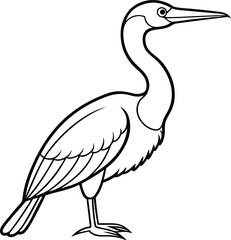 Aghinga Bird Vector Design, for various way. 