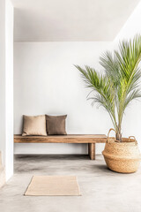 Minimalist Mediterranean nook with wooden bench and potted palm