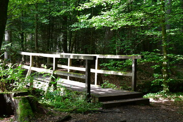 Fototapeta premium Eine Brücke im Wald in Franken 