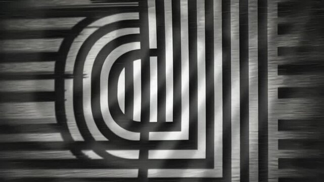 Aesthetic Monochrome Abstract Lines with Motion Animation