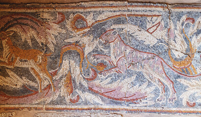 Ancient Mosaic Artwork from Madaba, Jordan - Beautifully Preserved Historical Pieces