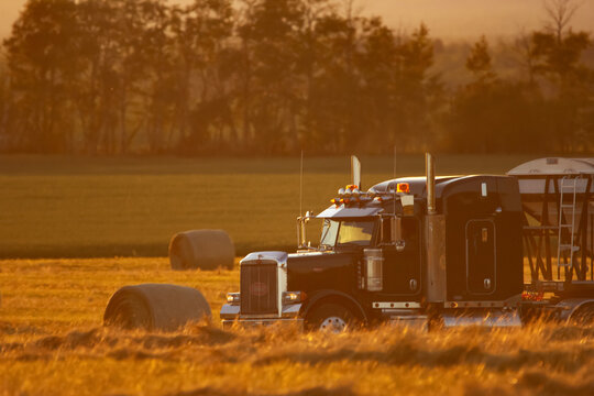 Spirit River, Alberta, Canada - July 31, 2024: Peterbilt 379 sleeper semi-truck parked in the field with fescue round bales at sunset time in golden light.