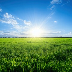 Obraz premium A bright sun rises over a lush, green field under a clear blue sky with scattered clouds.