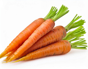 Fresh Carrots with Stems Isolated Heap on White Background