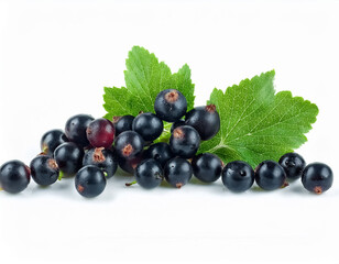 Freshly picked black currant berries on white background  