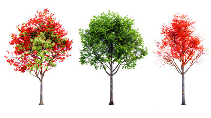 Fototapeta premium Set of green, red, and white colors trees isolated on transparent background. Generative AI