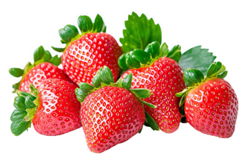 A group of five ripe red strawberries with green leaves on a white transparent background