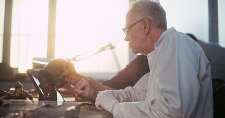 Archaeological lab: Two researchers or scientists examine fossil skull, have discussion, study 3D model and visualization of prehistoric extinct human head displayed on digital tablet computer screen.