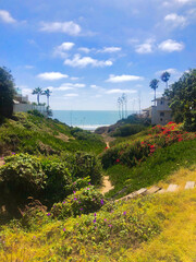 Coastal Pathway with Ocean View Surrounded by Lush Greenery