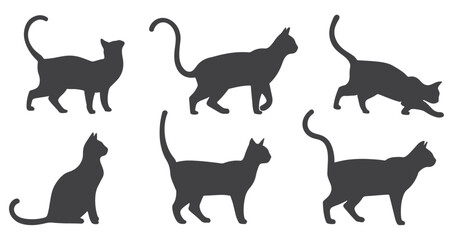 Set of  silhouette cats in different poses