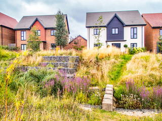 New housing estate Crowthorne Berkshire with nature area with stream