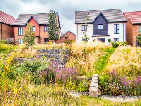 New housing estate Crowthorne Berkshire with nature area with stream