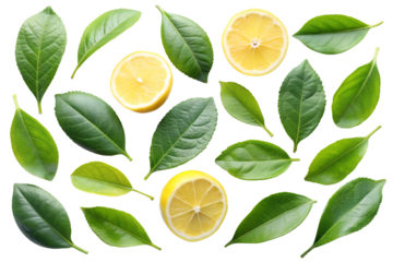 lemon isolated on white on transparent background png