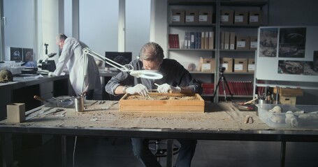 Mature archaeologist cleans dinosaur skeleton under lamp using tools and brush, discovers fossil...