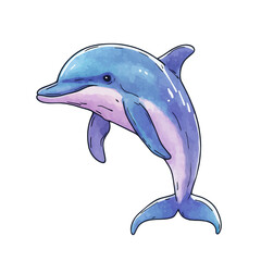 dolphin isolated on white background, illustrations of dolphin.