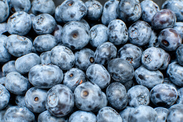 Close up view of a fresh blueberry