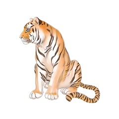 Fototapeta premium Tiger illustration drawing design