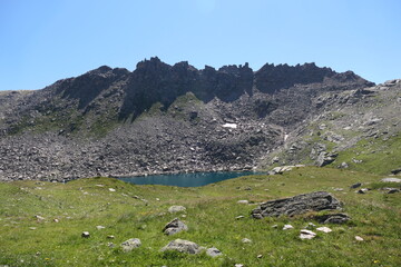 sheep in the mountains