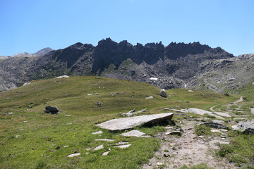 alpine meadow in the mountains