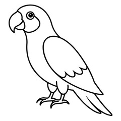 parrot on white background line art