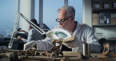 Senior archaeologist works with fossil remains in archaeological lab. Paleontologist in lab coat...