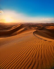 Desert landscape 