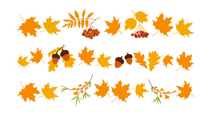 Fall border lines from autumn botanical leaves and berries. Set of autumn leaves pattern line, herbal elements. Fall orange leaves and acorns. Decorations for Back to School, Halloween, Thanksgiving.