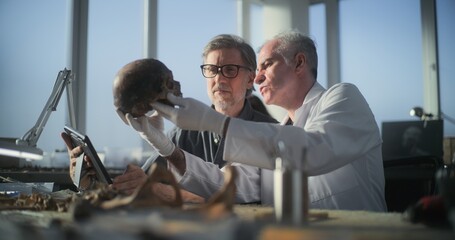 Archaeological laboratory: Senior paleoanthropologist holds prehistoric human skull, mature...