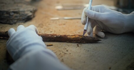 Senior archaeologist in gloves cleans fossil ancient wooden spear using professional tools....