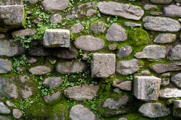 Pared de piedra antigua cubierta de musgo y plantas: texturas naturales en arquitectura