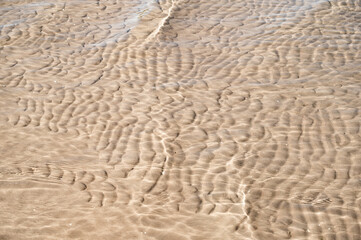In Estonia, la vista su Mar Baltico con la meteo bella, durante il mese di agosto.
