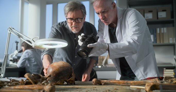 Senior paleoanthropologist takes photo of fossil remains of prehistoric human skull with colleague archaeologist in archaeological laboratory using camera. Female scientist works in the background.