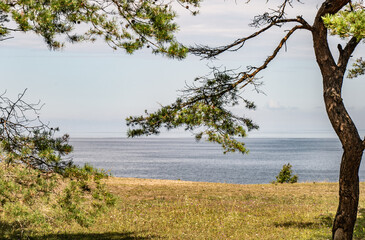 In Estonia I panorami tipici di Mar Baltico in estate, durante il mese di agosto.