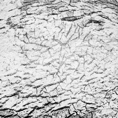 grunge background with space for text or image