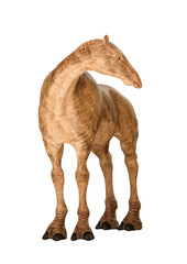 alien horse on white background