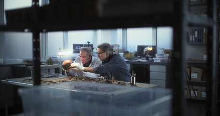 Two archaeologists studies fossil skull under lamp and have discussion. Scientists work in modern...