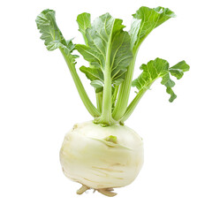 [Transparent Background PNG]Fresh Green Kohlrabi Vegetable Isolated on White Background